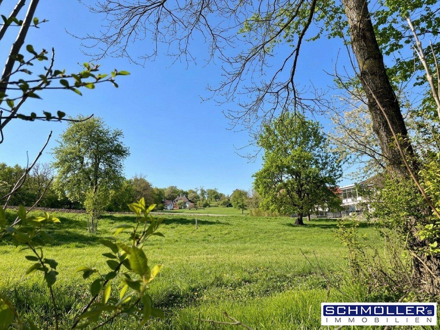 Weitläufige grüne Landschaft mit Bäumen und Blick auf die umliegende Natur.