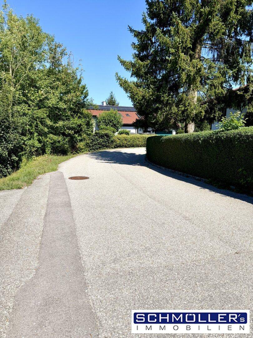 Ruhige Wohnstraße mit Bäumen und Hecken, die zu einem Wohngebiet führt.
