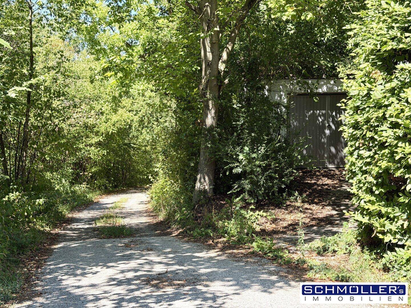 Schotterweg führt durch dichtes Grün und Bäume zu einem versteckten Gebäude.
