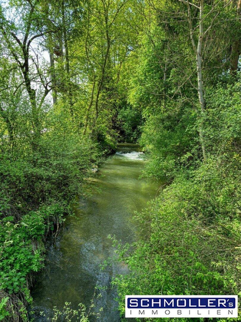 Natürlicher Bachlauf umgeben von dichtem Grün und Bäumen, der eine idyllische Landschaft zeigt.