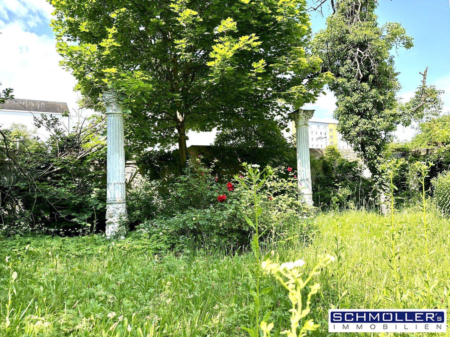 Naturbelassener Gartenbereich mit hohen Bäumen, Säulen und blühenden Rosen unter blauem Himmel.