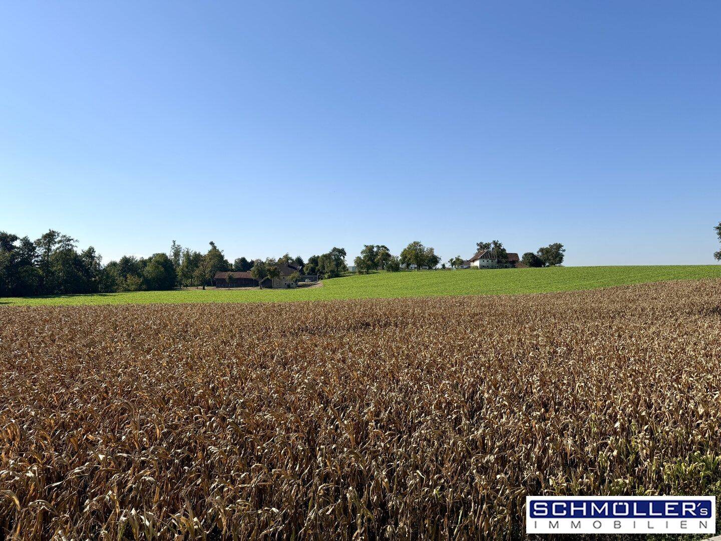 Weitläufige Felder mit Blick auf Häuser in der Ferne unter blauem Himmel.