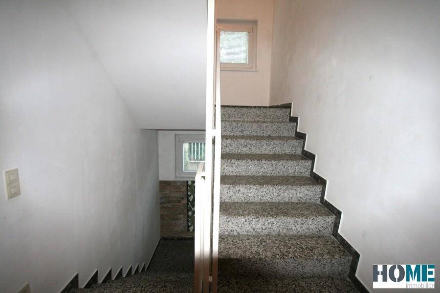 Slide 8