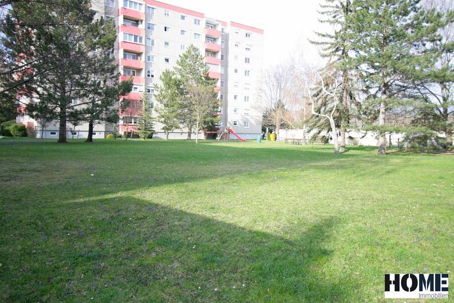 Große Grünfläche mit Rasen, Bäumen und einem Spielplatz im Hintergrund.