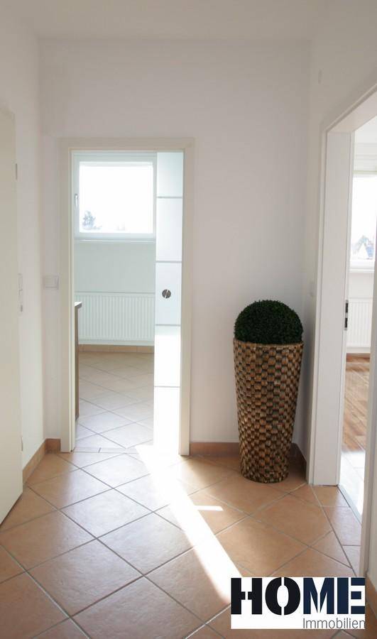 Heller Eingangsbereich mit Terrakotta-Fliesenboden und dekorativer Pflanze.