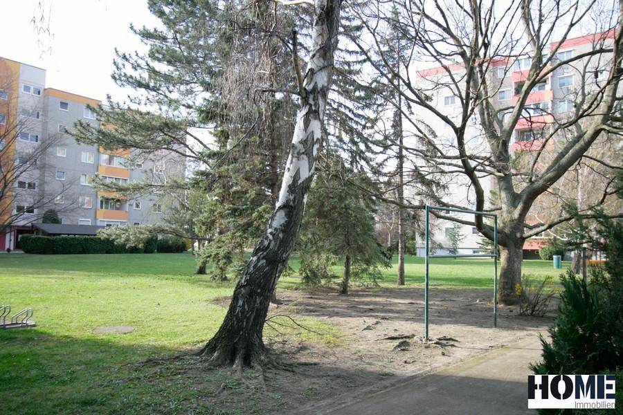 Grüner Gemeinschaftsgarten mit Bäumen und einem Spielbereich, umgeben von Wohngebäuden.
