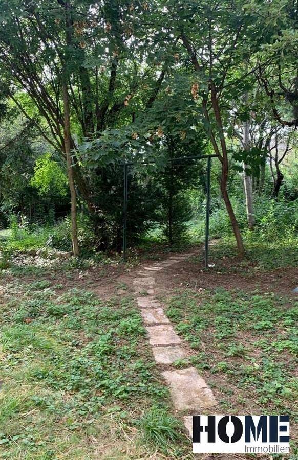Ein verwilderter Gartenbereich mit einem Steinpfad, der durch dichtes Grün und Bäume führt und zum Erkunden einlädt.