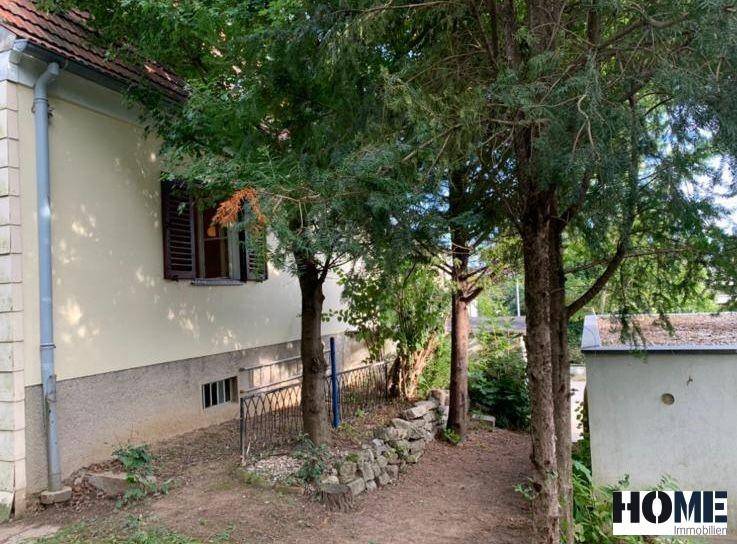 Seitlicher Außenbereich des Hauses mit Bäumen und einer kleinen Steinmauer, die den Gartenbereich begrenzt.