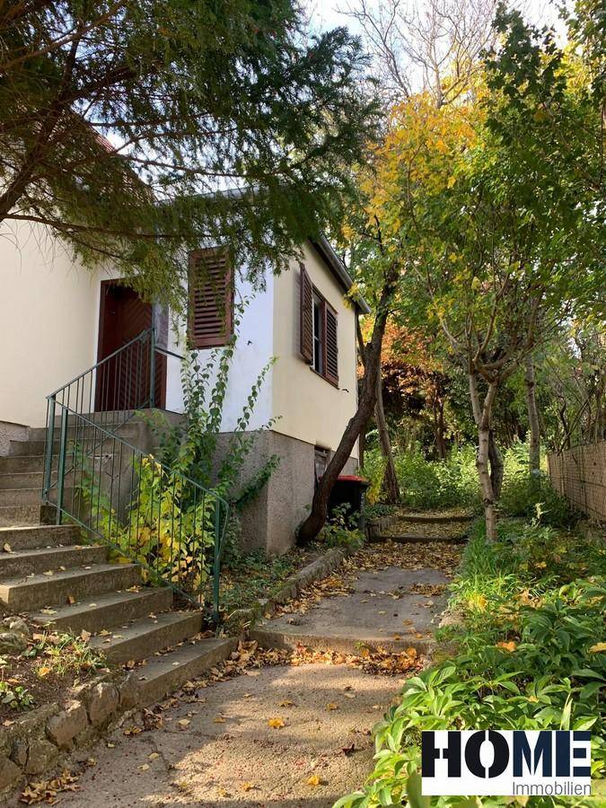 Seitlicher Blick auf das Haus mit einer Außentreppe, umgeben von Bäumen und herbstlichem Laub im Gartenbereich.