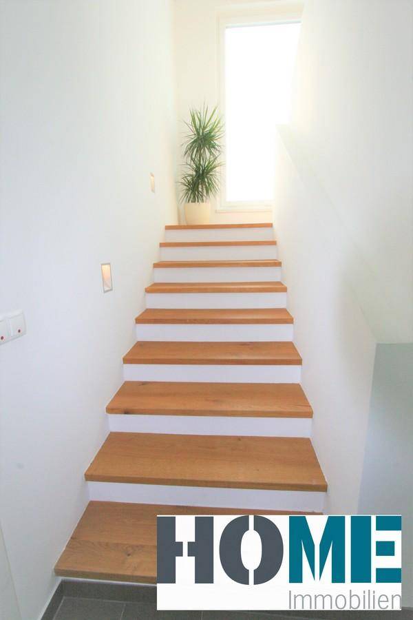 Helle Holztreppe mit weiß gestrichenen Setzstufen und natürlichem Lichteinfall.