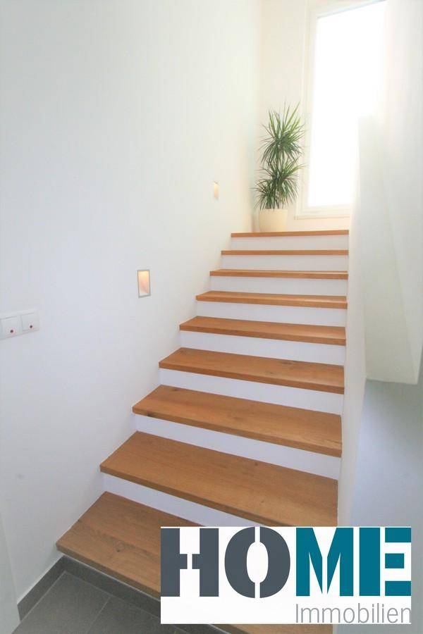 Helle Holztreppe mit weiß gestrichenen Setzstufen und natürlichem Lichteinfall.