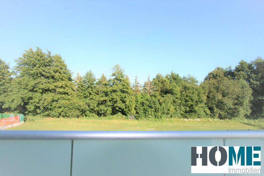 Grüner Ausblick von einem Balkon auf Bäume und eine weite Wiese.