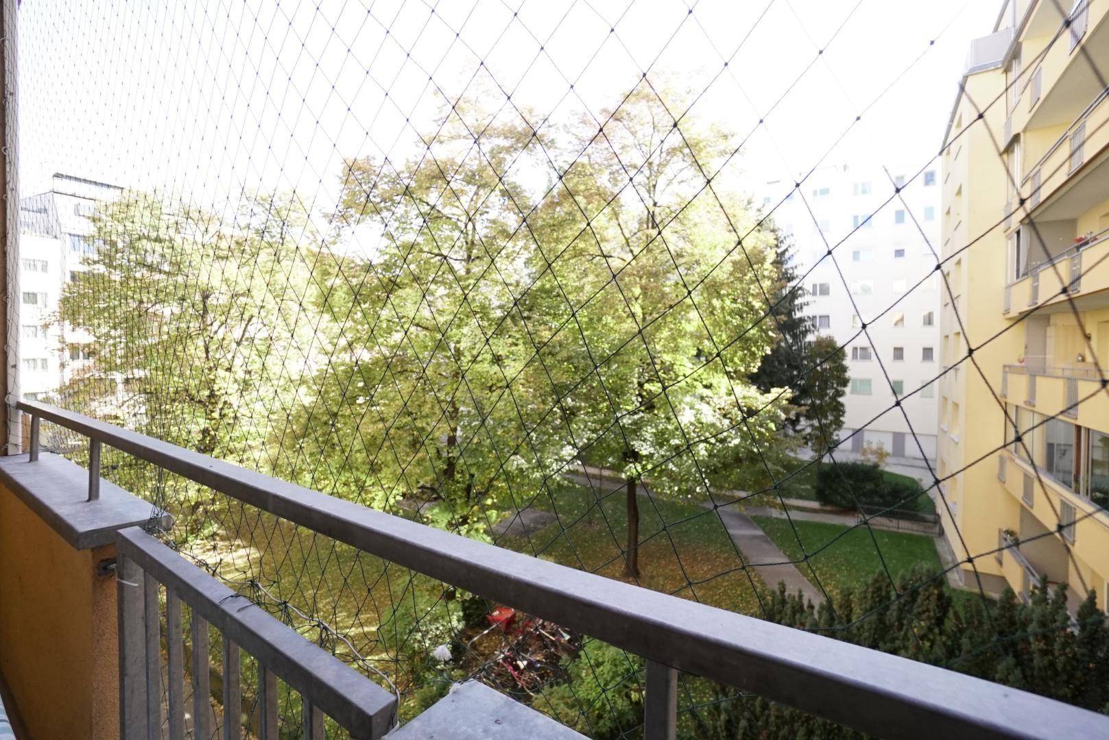 DSC04539
