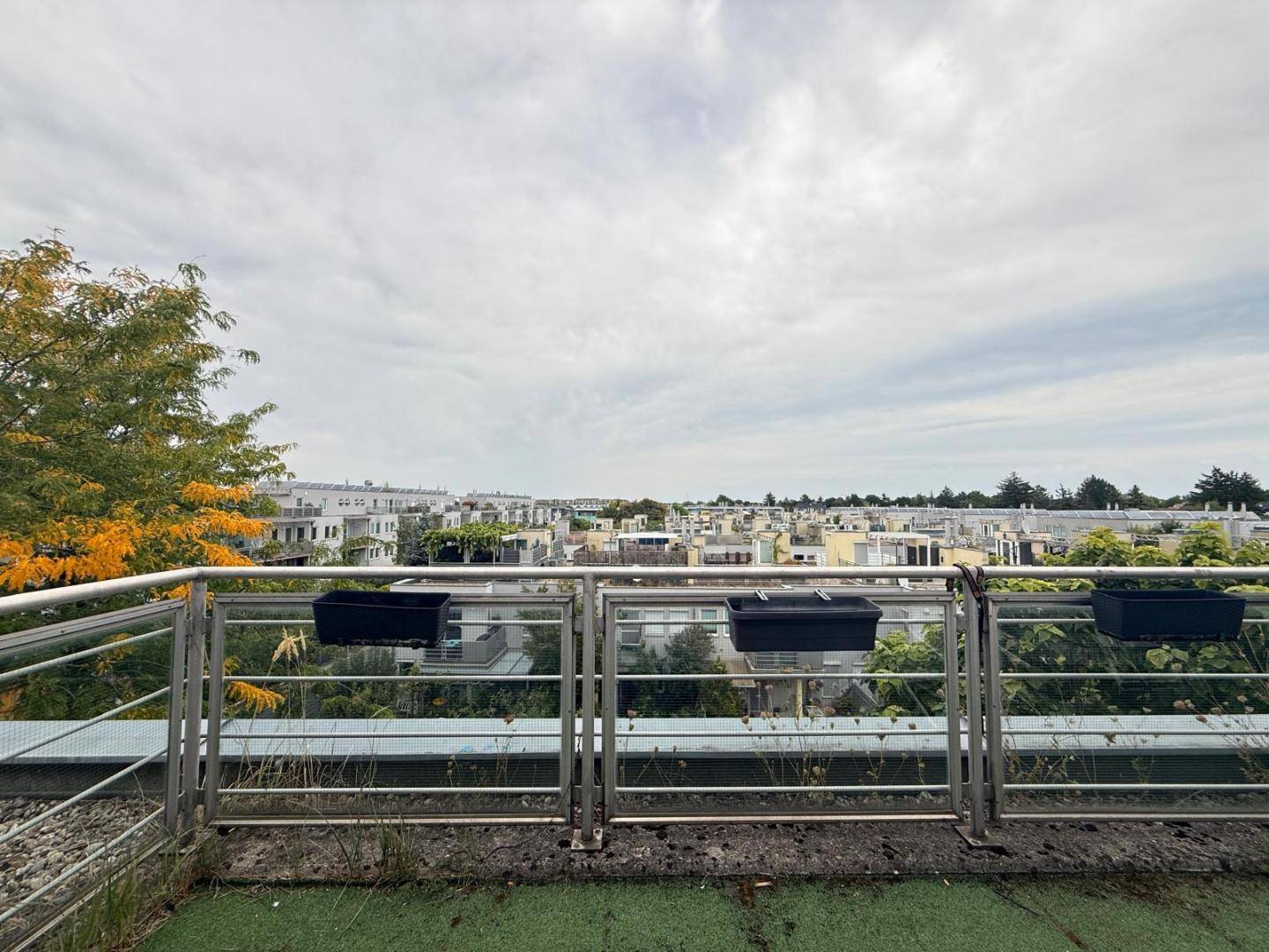 IMG-20250831-WA0018