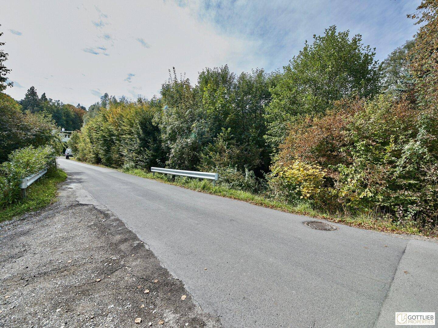Landstraße umgeben von üppiger Vegetation und Bäumen, die sich durch eine ländliche Landschaft schlängelt.