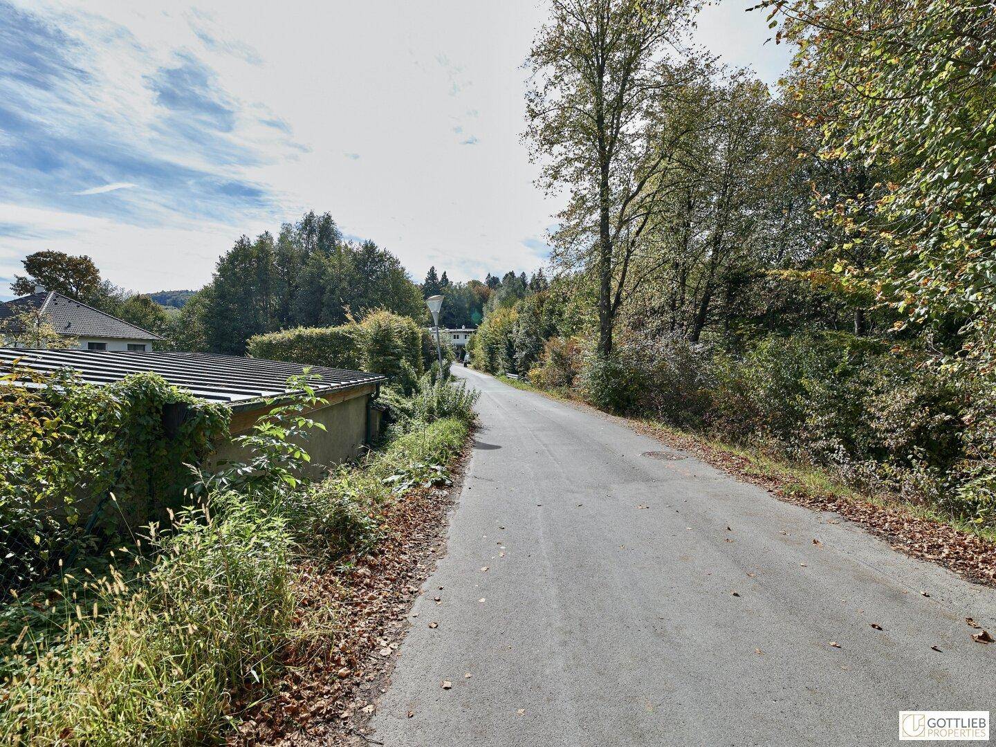 Landstraße mit einem Gebäude und dichter Vegetation auf der linken Seite, umgeben von Bäumen und Sträuchern.