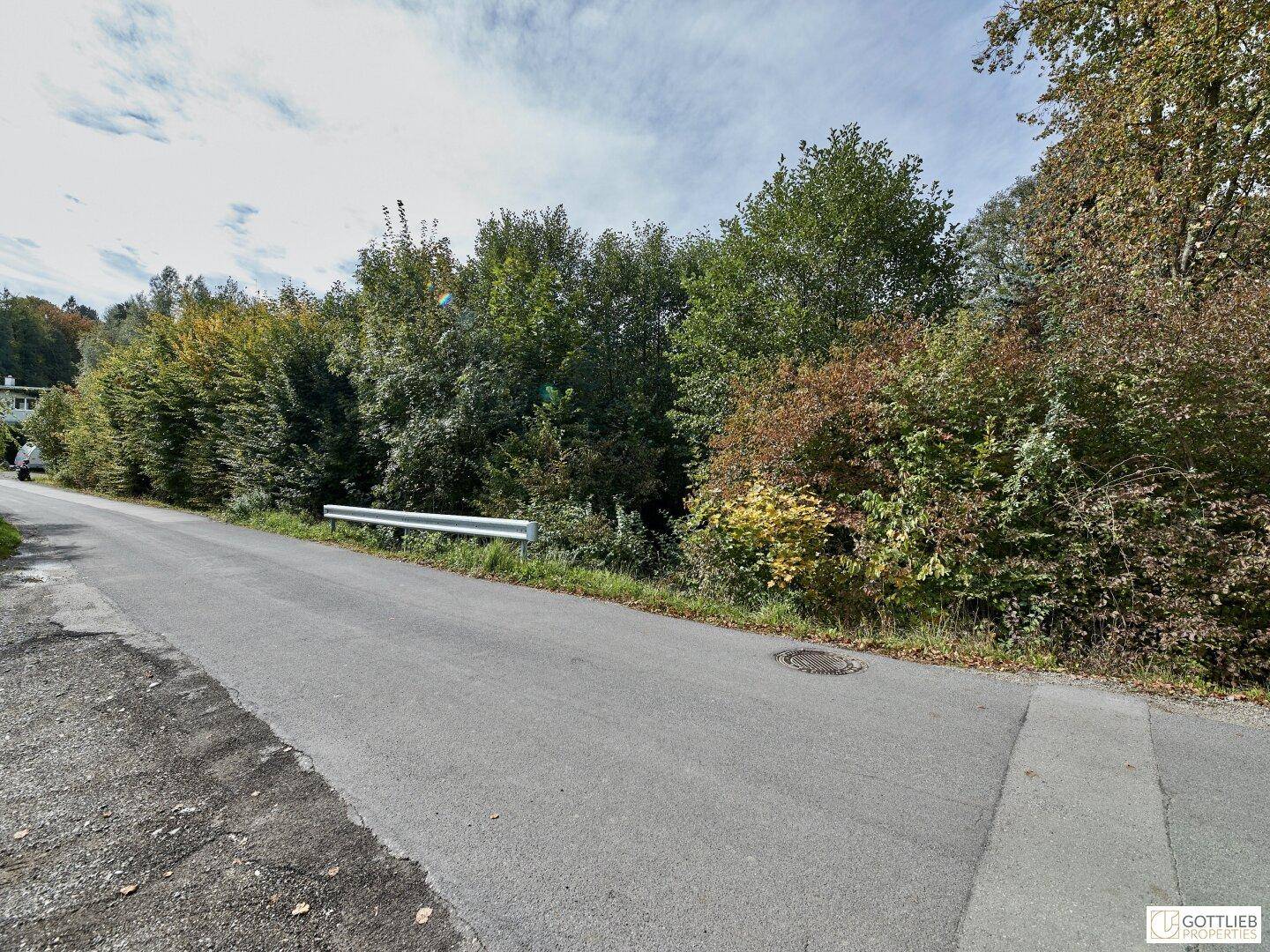 Landstraße, die von einer dichten Hecke und hohen Bäumen gesäumt wird, unter einem leicht bewölkten Himmel.