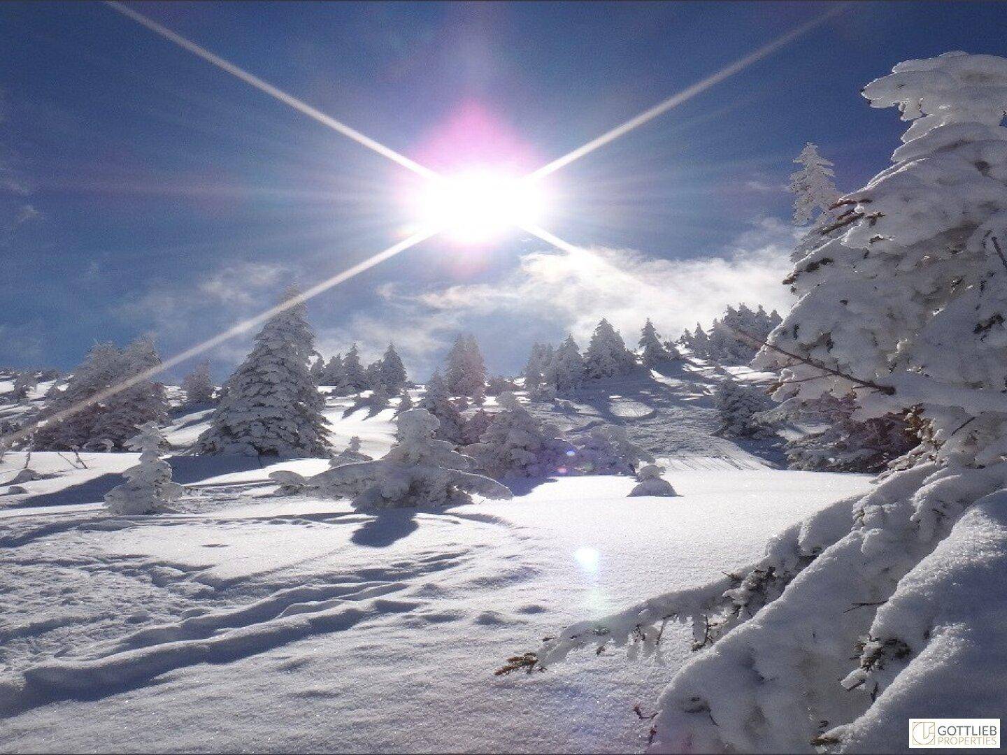 Strahlender Sonnenschein über einer verschneiten Winterlandschaft mit schneebedeckten Bäumen und Bergen.
