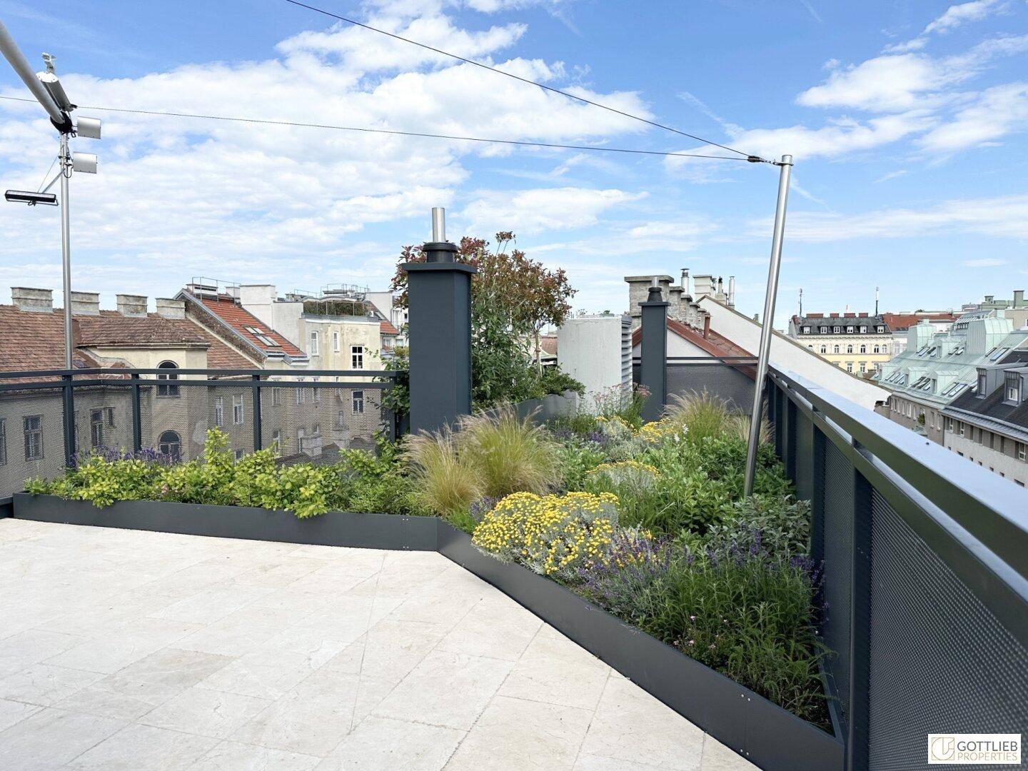 Detailansicht der bepflanzten Beete auf der Dachterrasse mit verschiedenen Gräsern und Blumen.