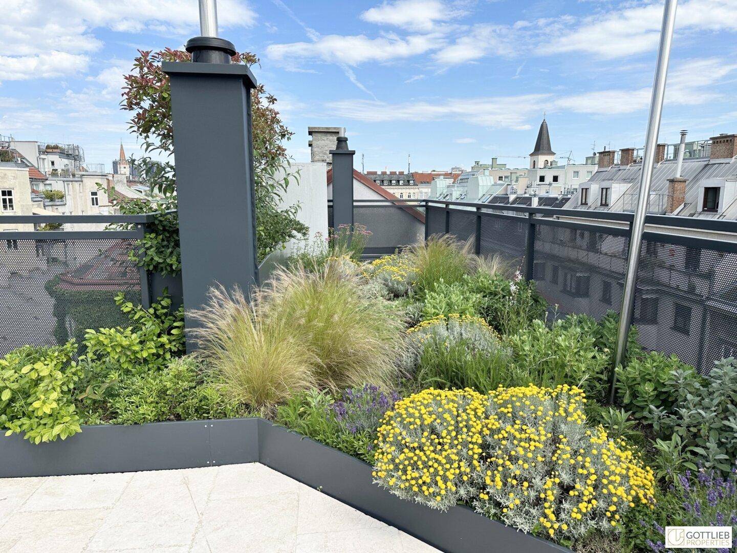 Bepflanzte Dachterrasse mit vielfältiger Vegetation und einem Kirchturm in der Ferne.