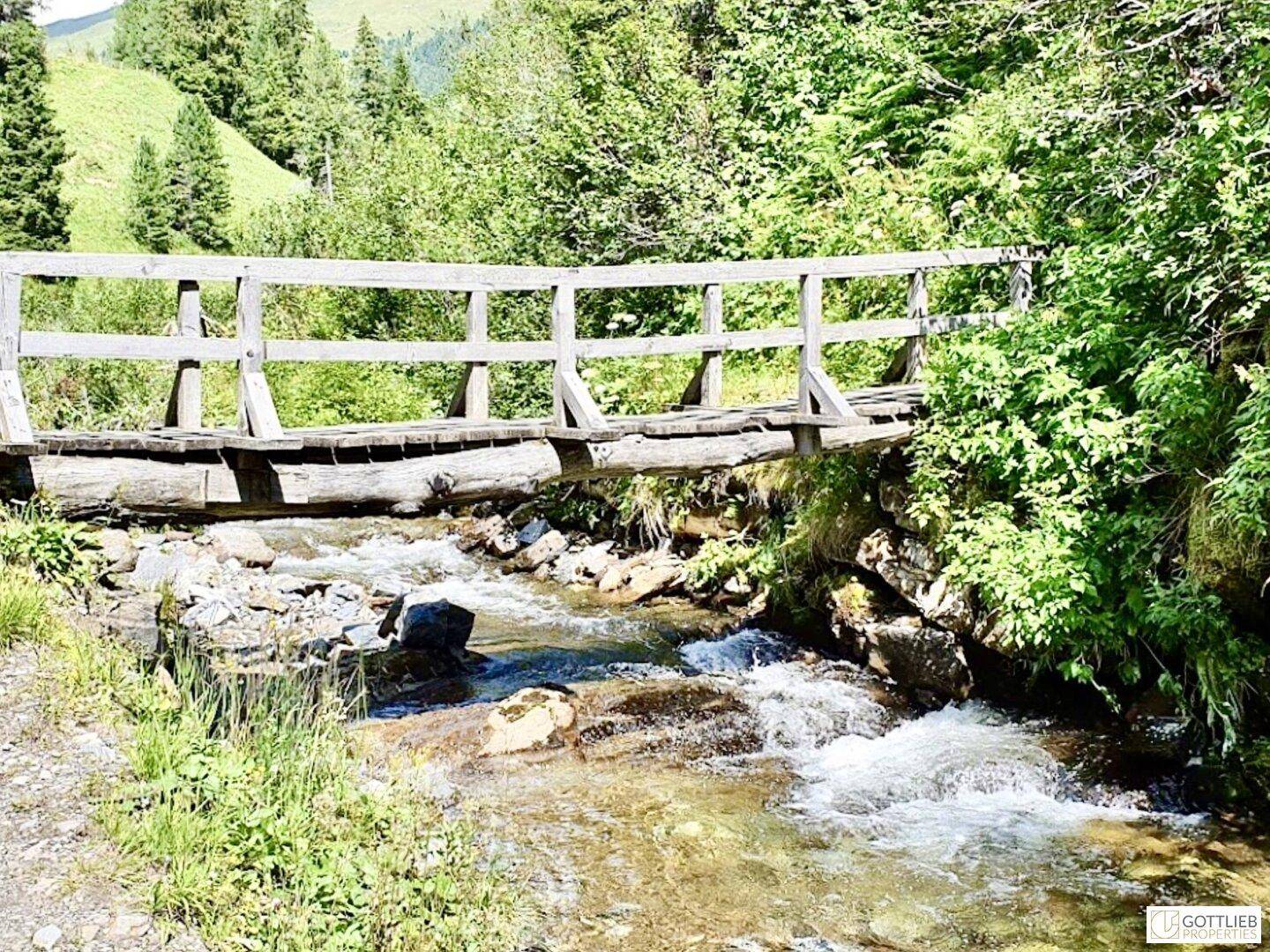Eine rustikale Holzbrücke überspannt einen klaren Gebirgsbach in einer grünen Landschaft, ein idyllischer Anblick.