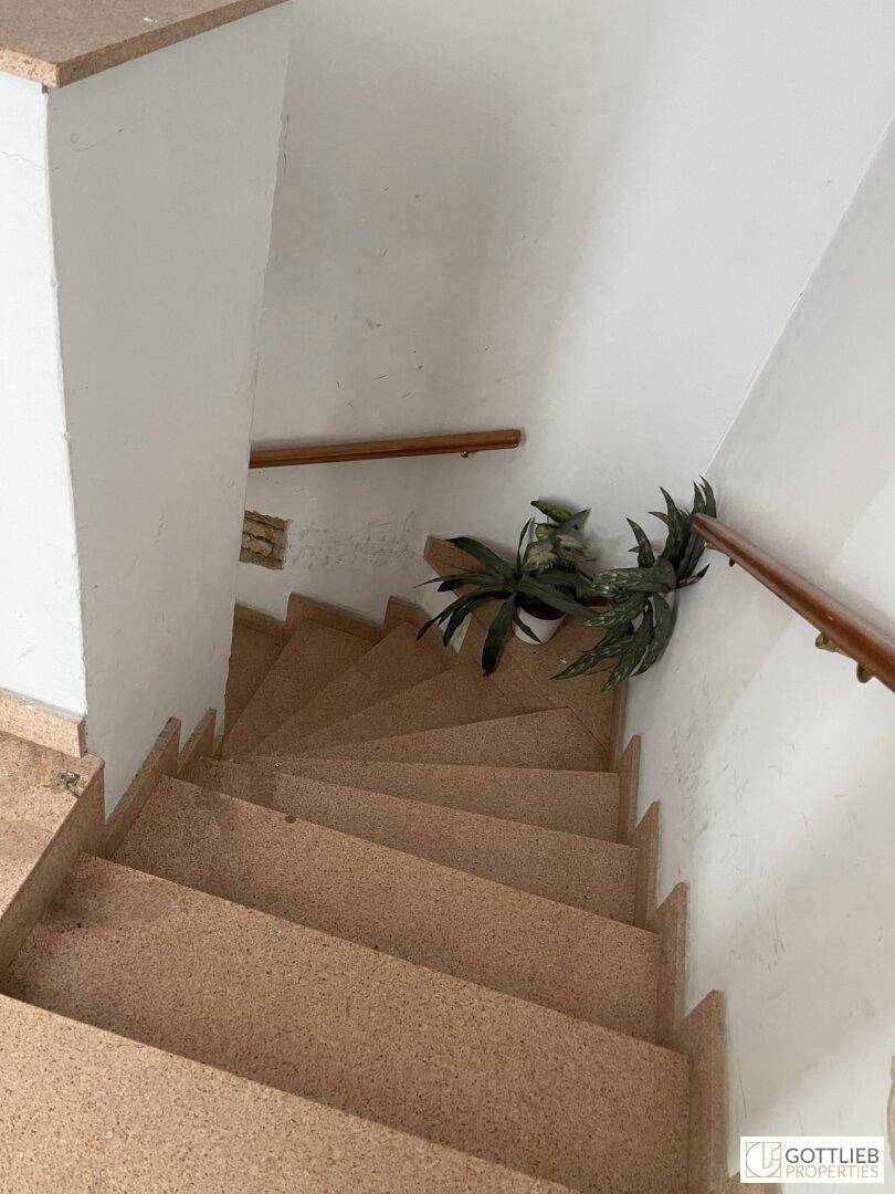 Eine Wendeltreppe mit Holzgeländer und einer Pflanze im Treppenhaus, die nach unten führt.