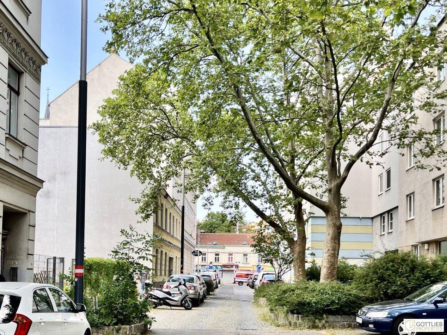Eine ruhige Wohnstraße mit parkenden Autos und hohen Bäumen, die Schatten spenden und eine grüne Aussicht bieten.