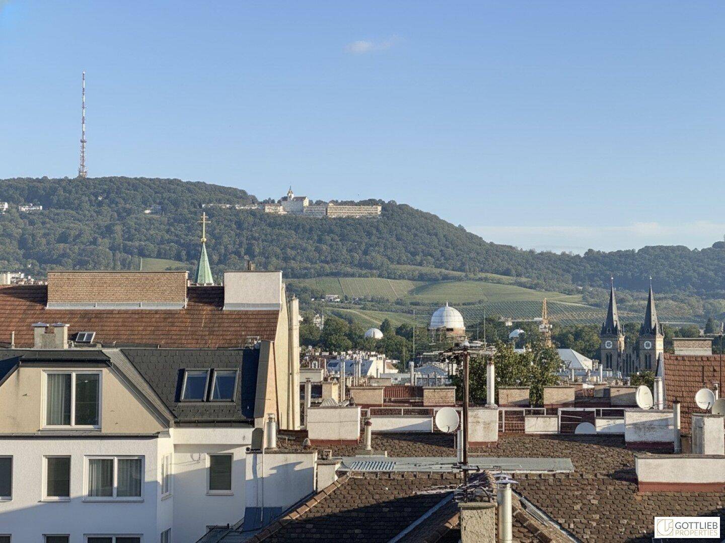 Aussicht über die Dächer der Stadt mit einem grünen Hügel und Weinbergen im Hintergrund.