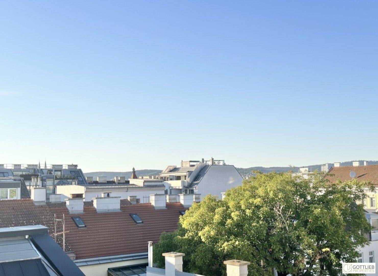Weitläufiger Blick über die Dächer der Stadt mit viel Grün und blauem Himmel.