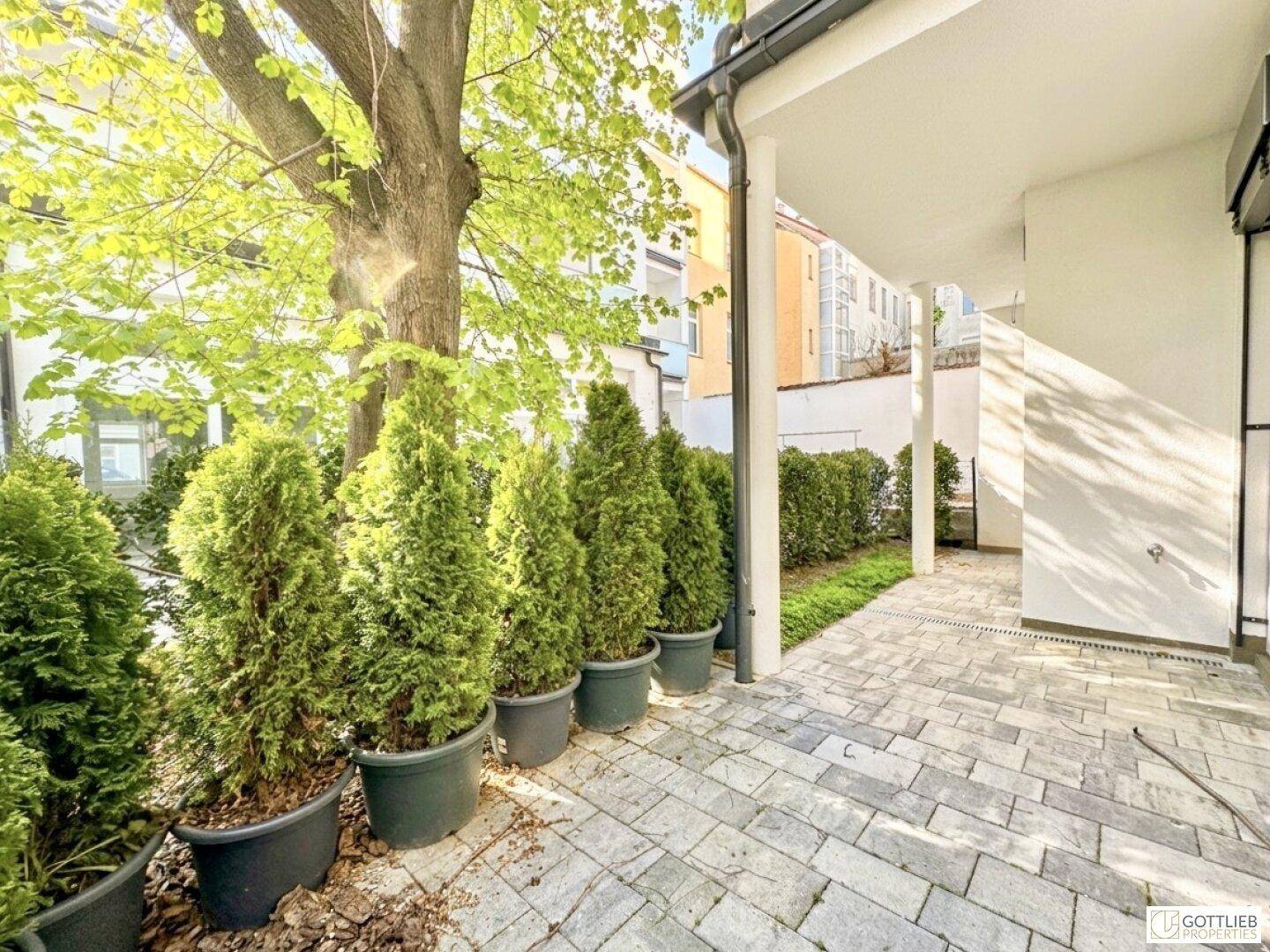 Gepflasterter Gartenbereich mit Topfpflanzen und einem großen Baum, umgeben von Hecken.