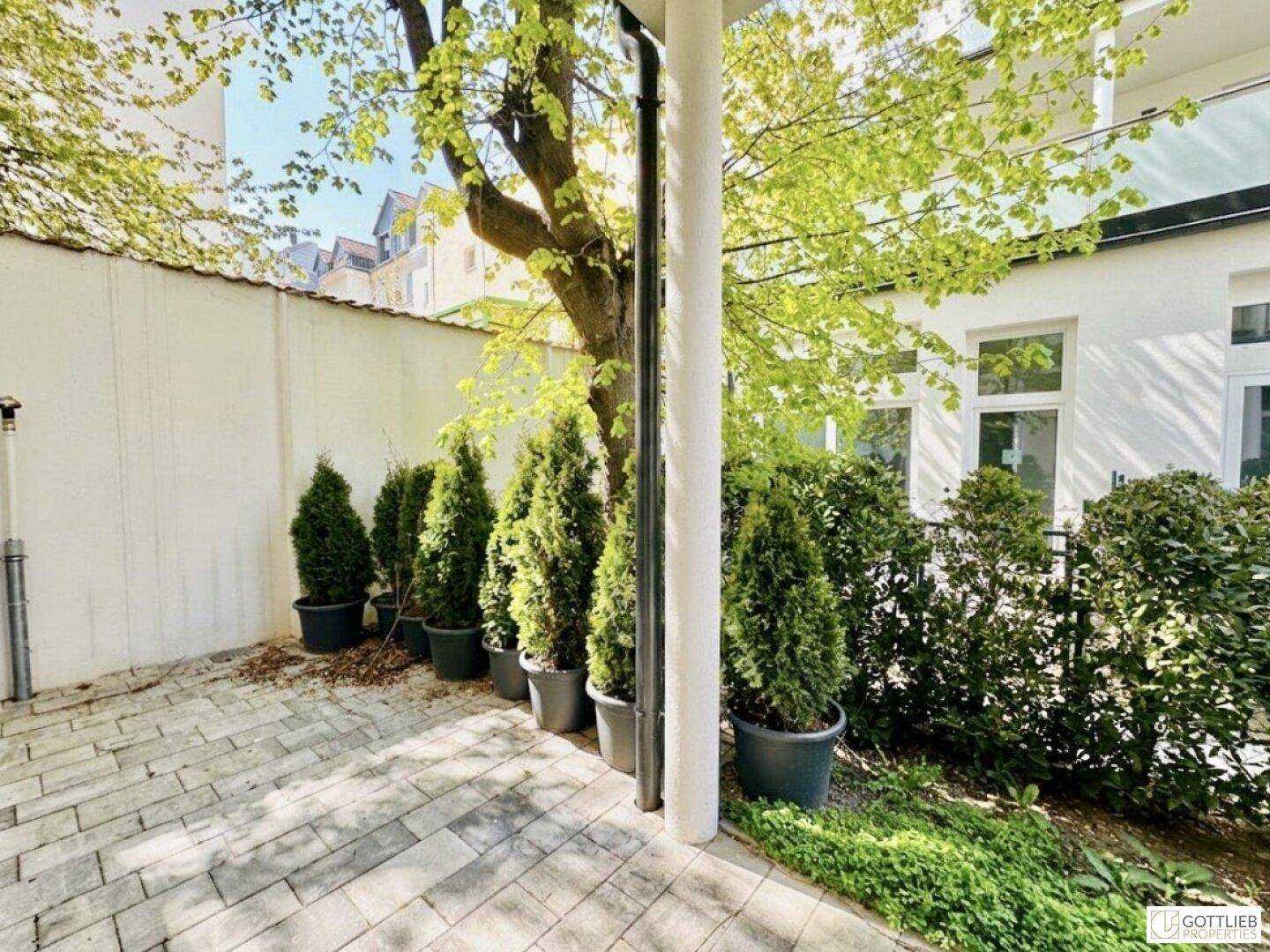 Gepflasterter Gartenbereich mit Topfpflanzen und einem großen Baum, umgeben von Hecken.