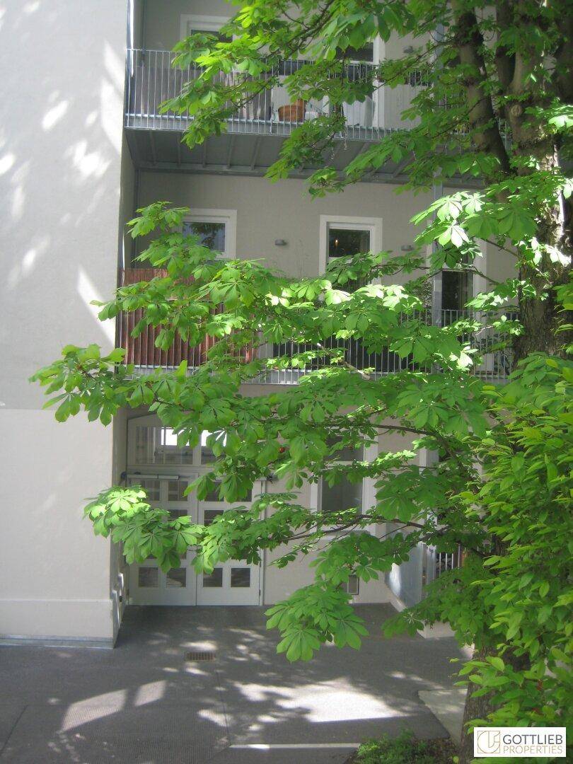 Gebäudefassade mit Balkonen und großen Fenstern, umgeben von üppigem Grün.