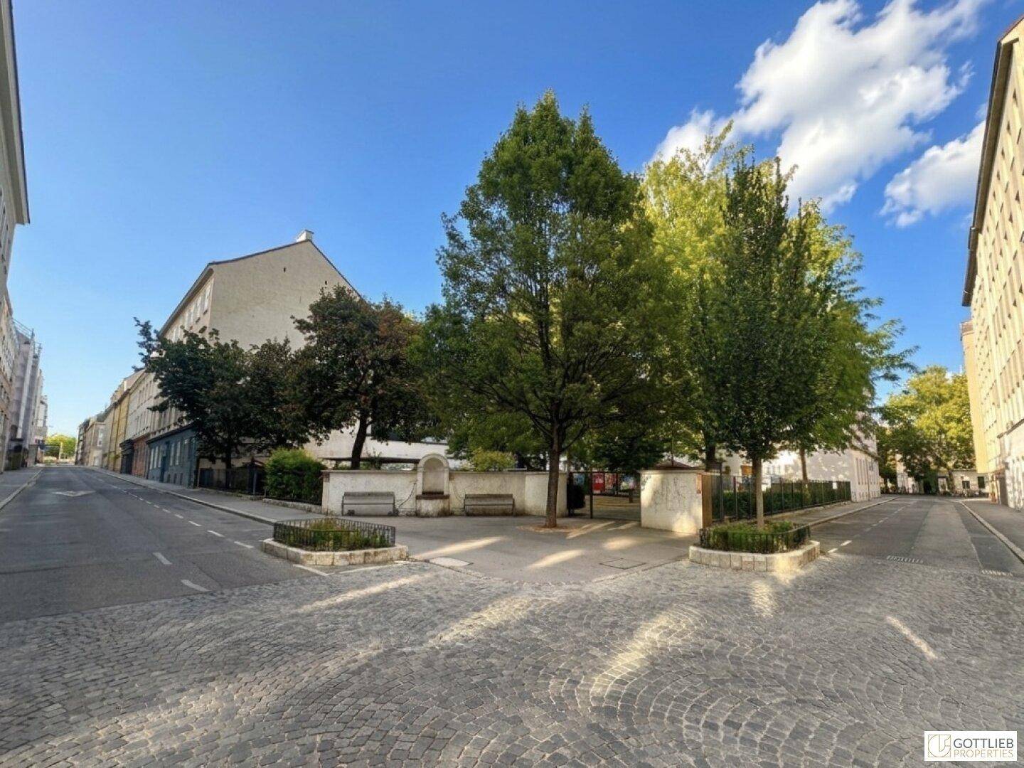 Ruhige Stadtstraße mit Kopfsteinpflaster, Bäumen und historischen Gebäuden unter blauem Himmel.