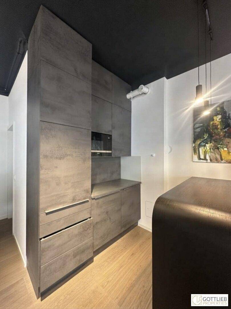 Moderne Küchenzeile mit dunkelgrauen Schränken, integrierten Geräten und dunkler Decke.