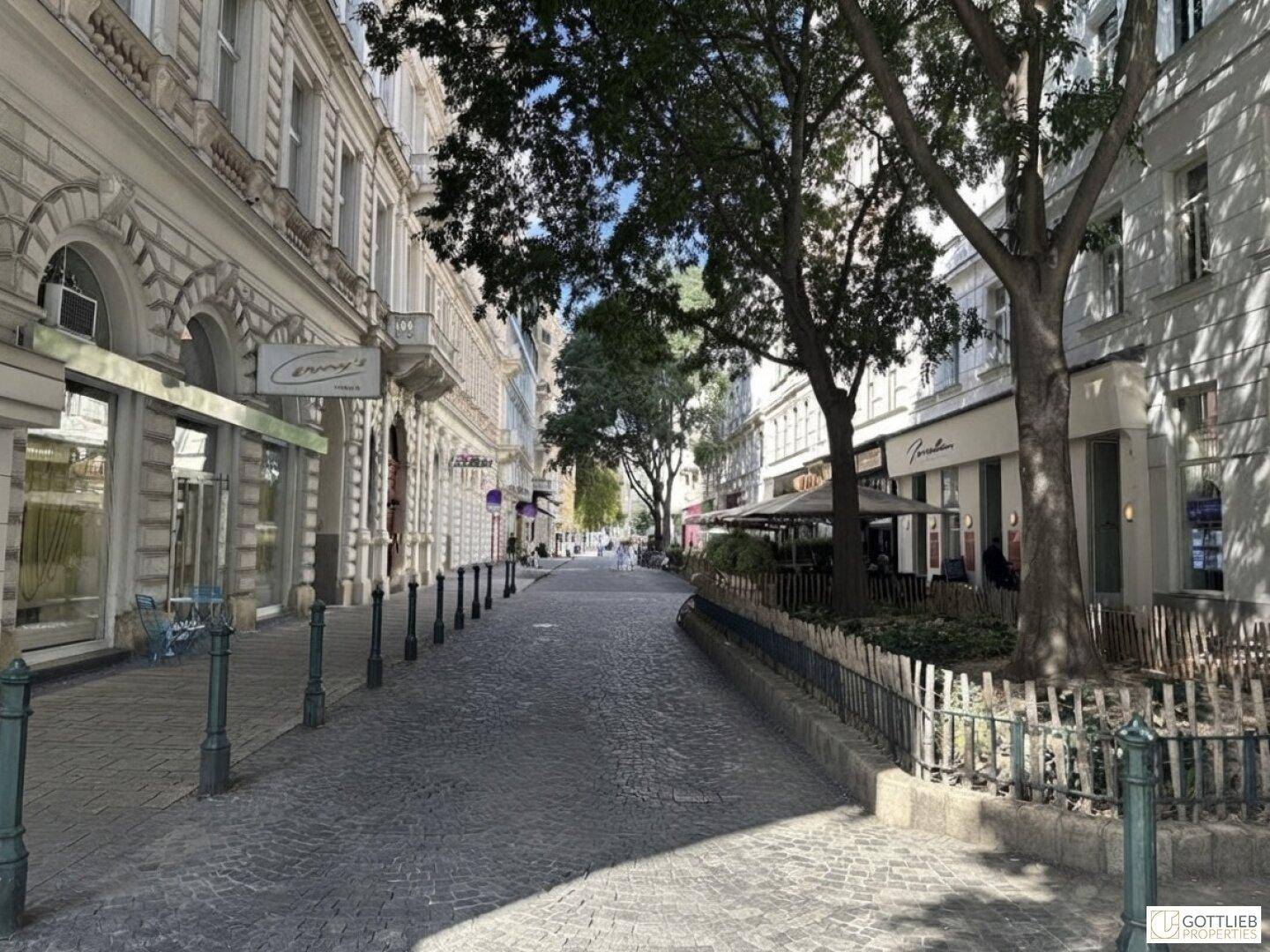 Eine charmante Kopfsteinpflasterstraße mit Bäumen und historischen Gebäuden in einer Stadt.