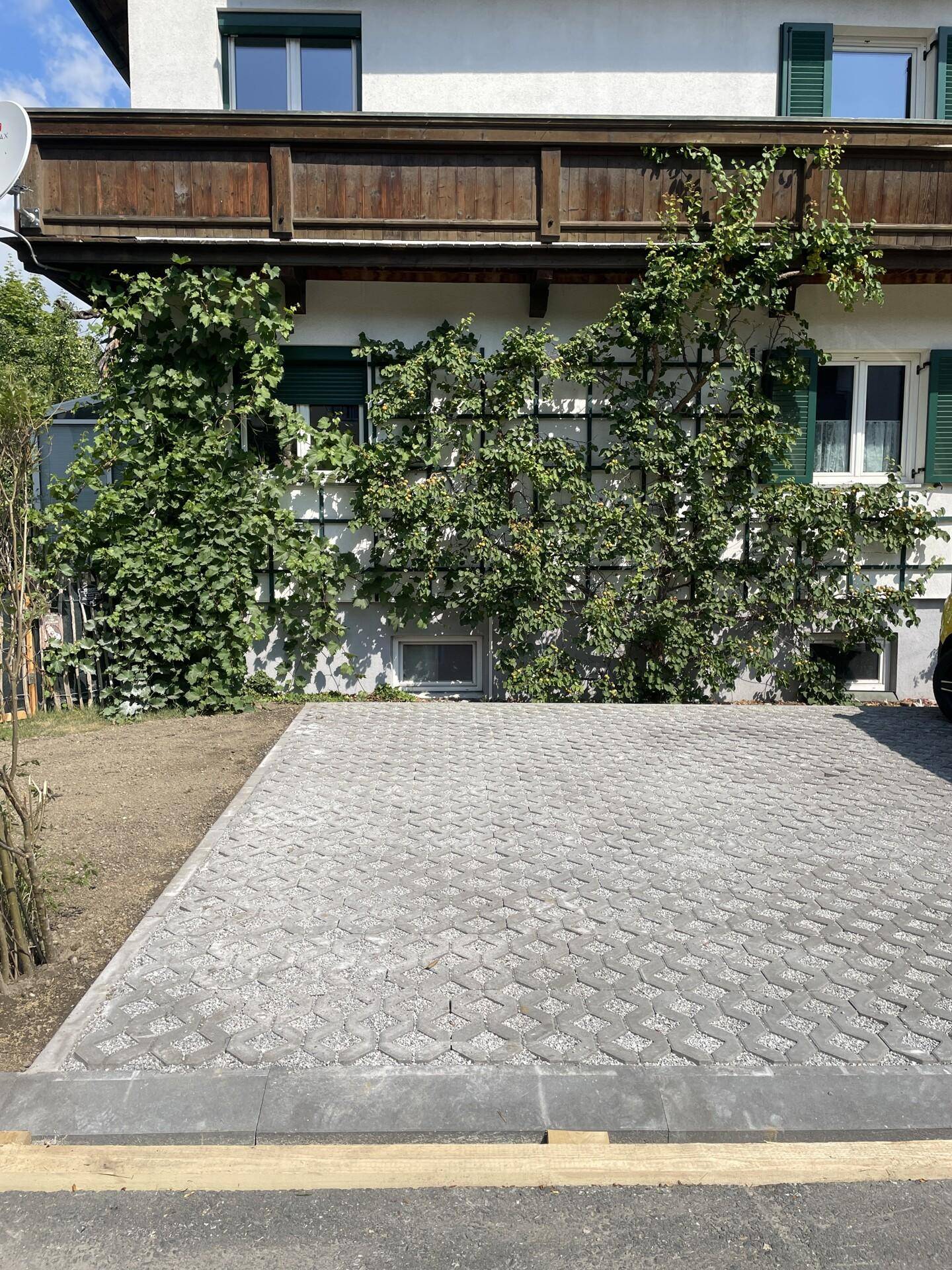 Nahaufnahme der Hausfassade mit Kletterpflanzen und gepflasterter Einfahrt an einem sonnigen Tag.