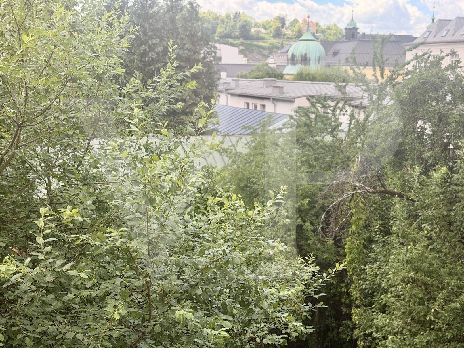 Malerischer Blick ins Grüne mit historischen Gebäuden und Dächern in der Ferne.