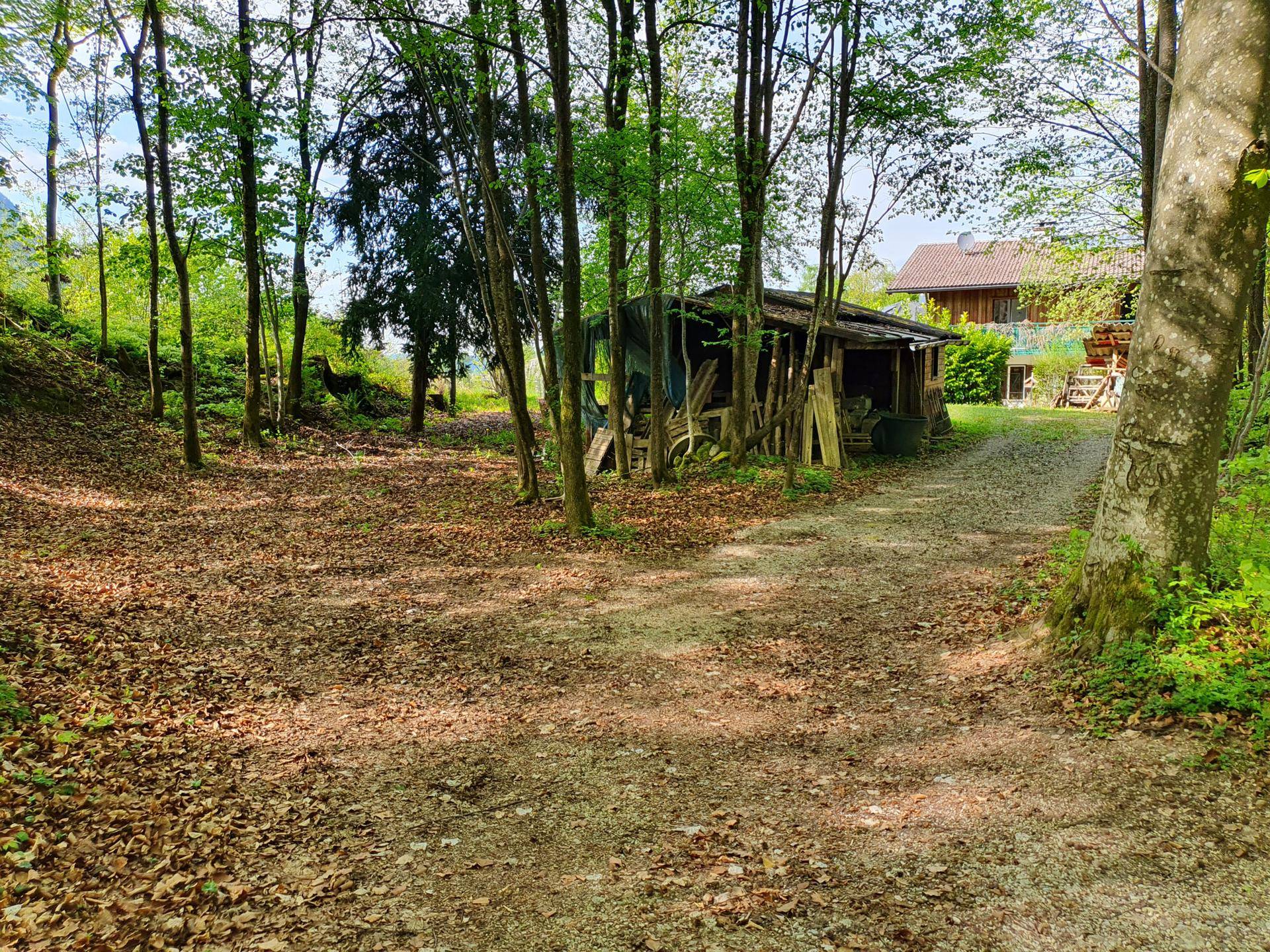 Wald