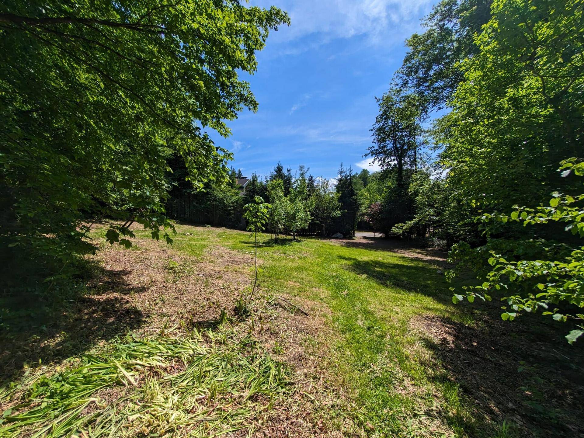 Naturbelassener Gartenbereich mit Wiese, jungen Bäumen und einem Pfad durch das Grün.