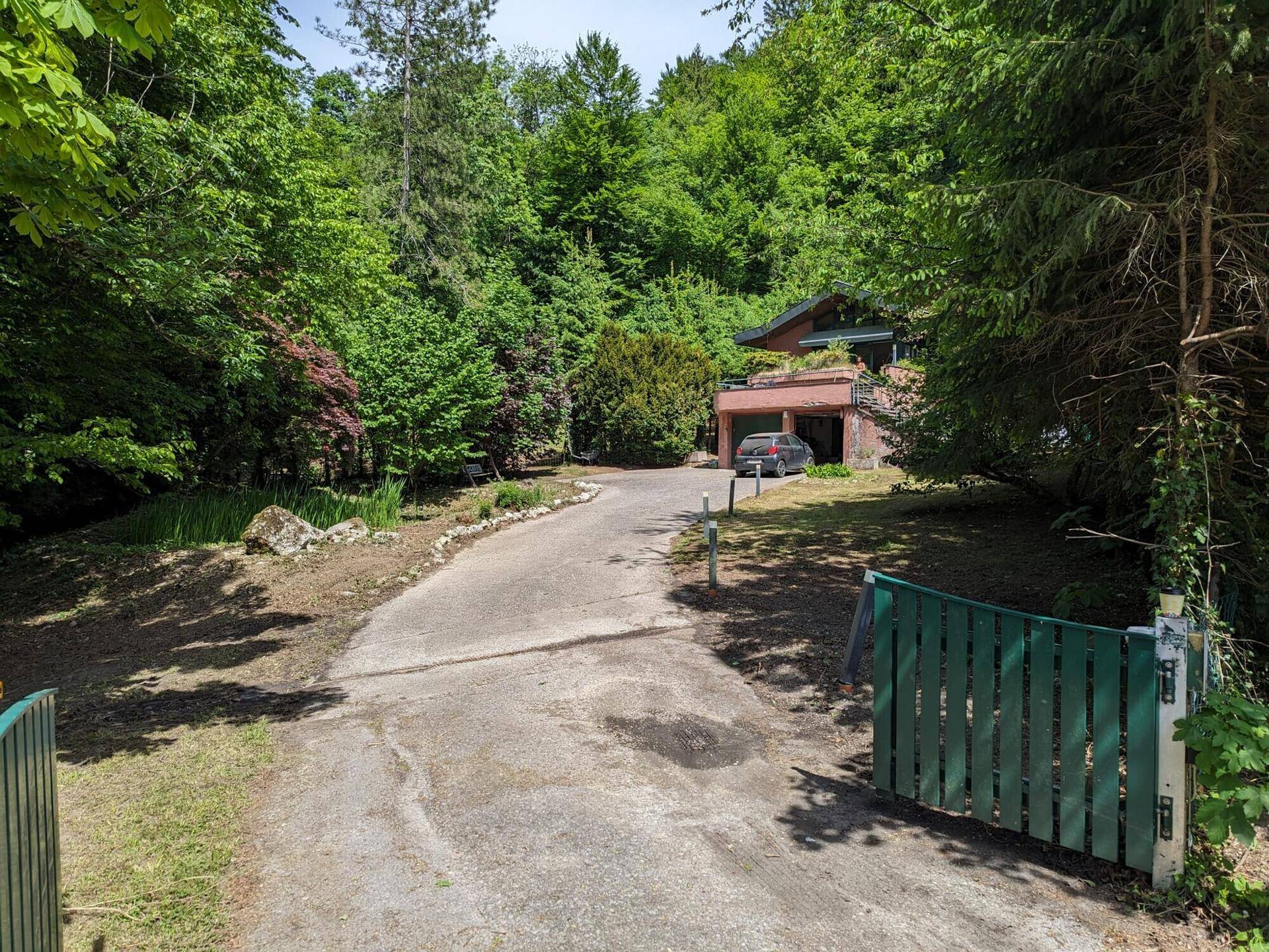 Eingangsbereich mit grünem Tor und langem Zufahrtsweg zum versteckten Haus im Grünen.