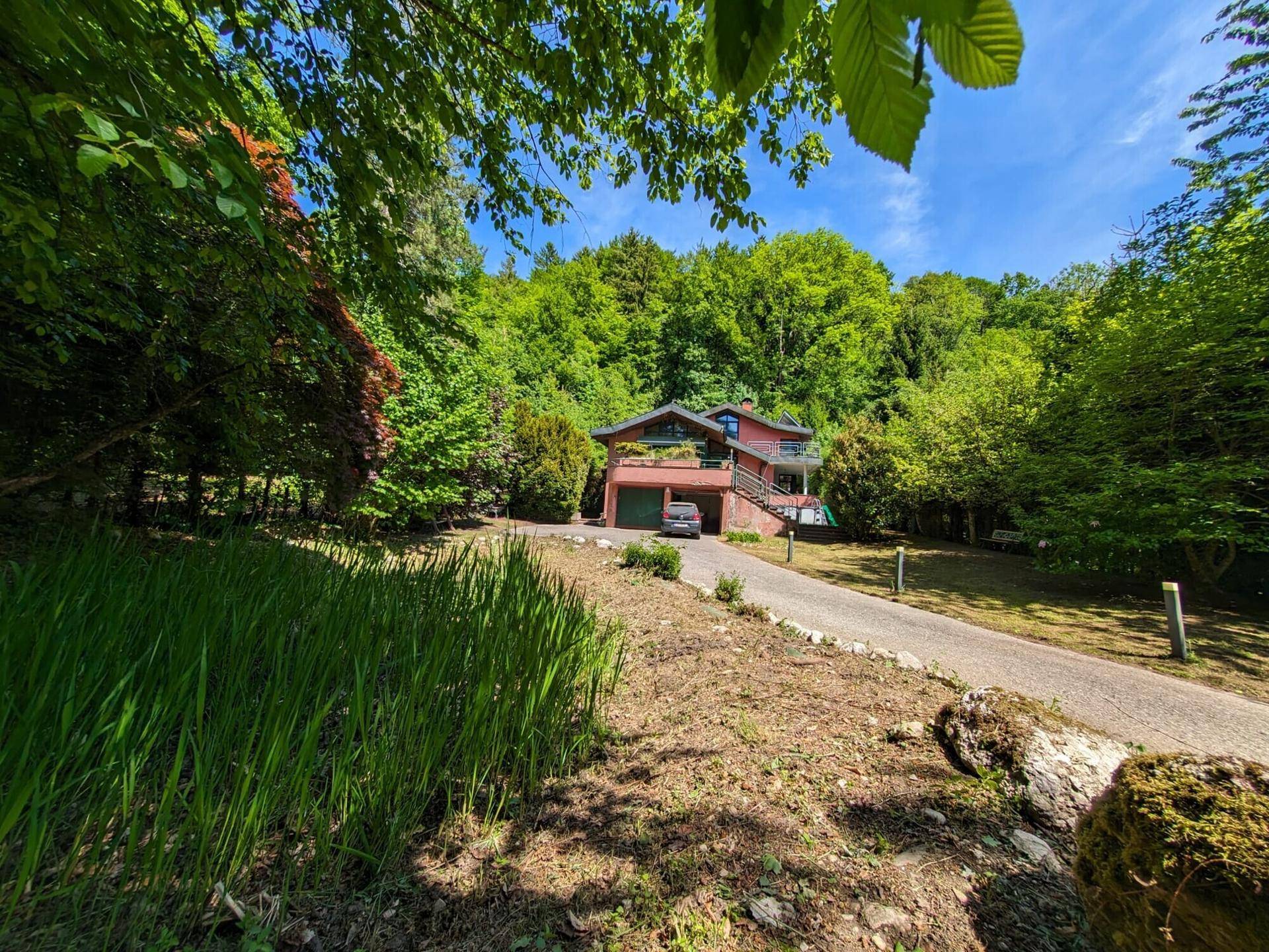 Das Haus ist eingebettet in eine grüne Landschaft mit altem Baumbestand und Zufahrtsweg.