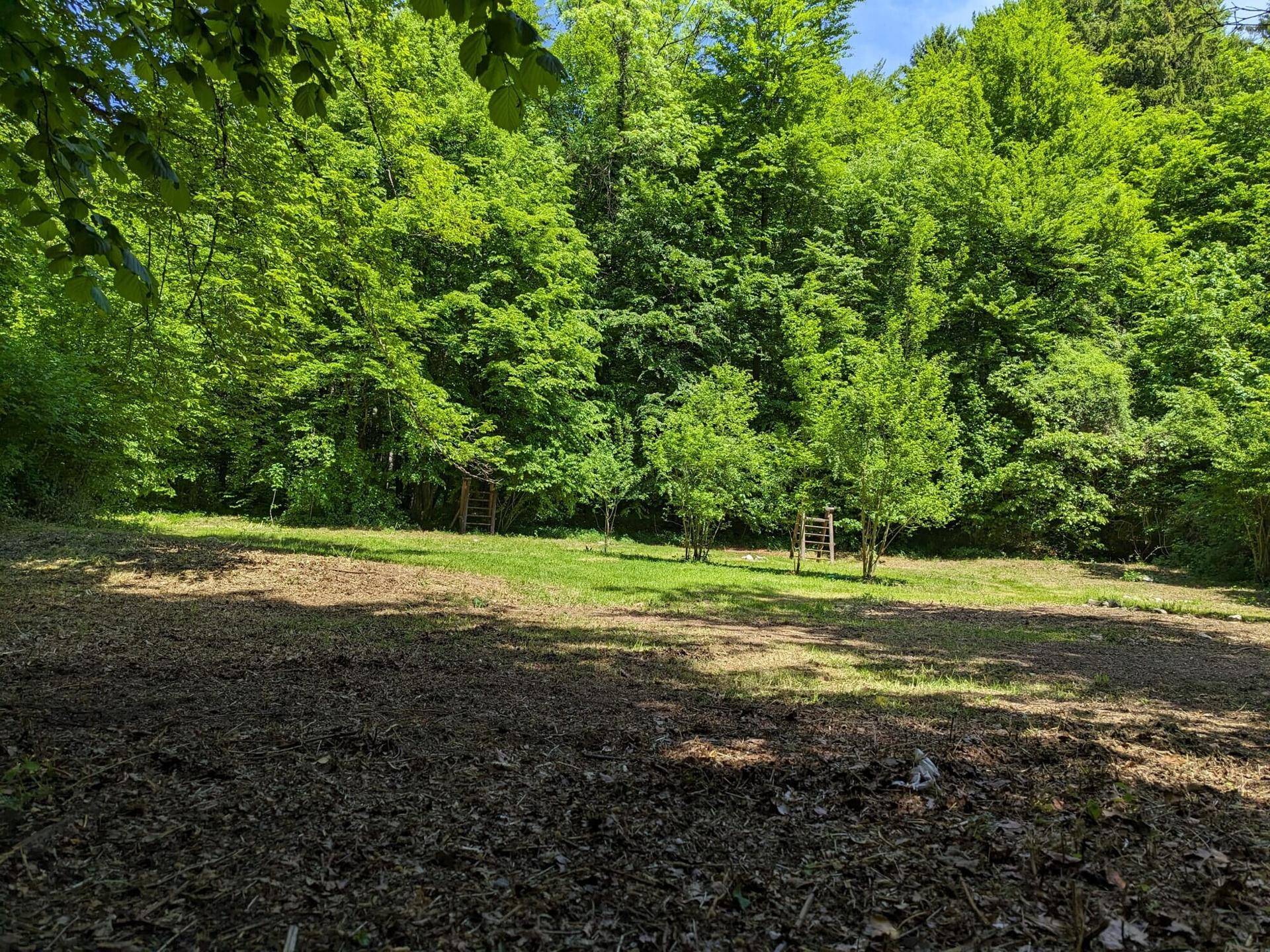 Idyllische Gartenlandschaft mit weitläufiger Wiese und dichtem Baumbestand im Hintergrund.