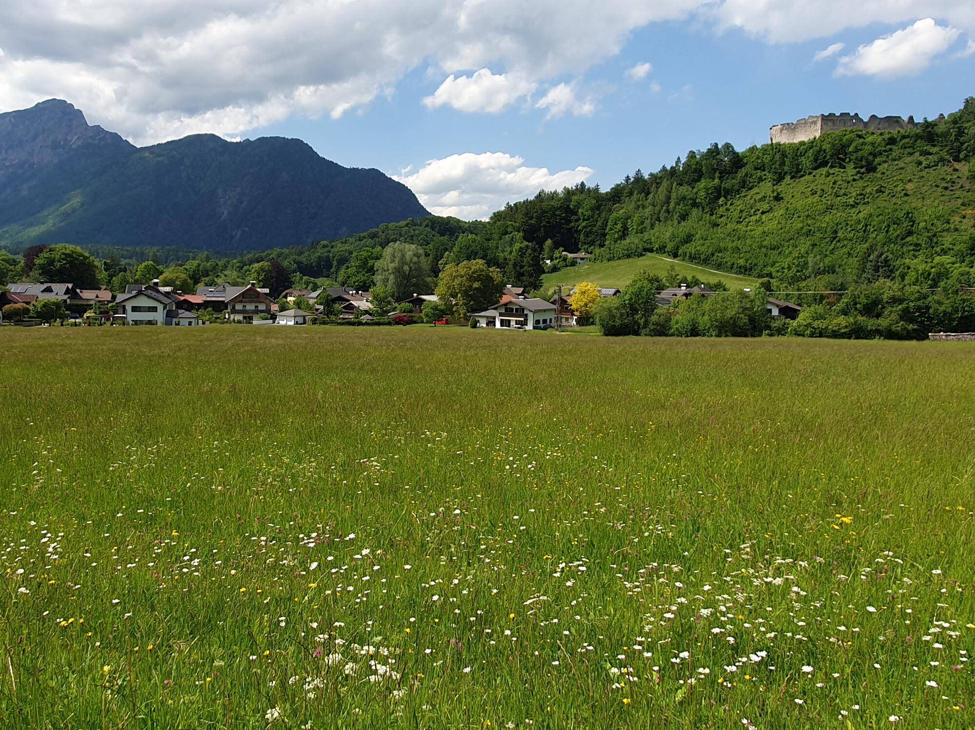 Blick aufs Grundstück v Süden nach Norden