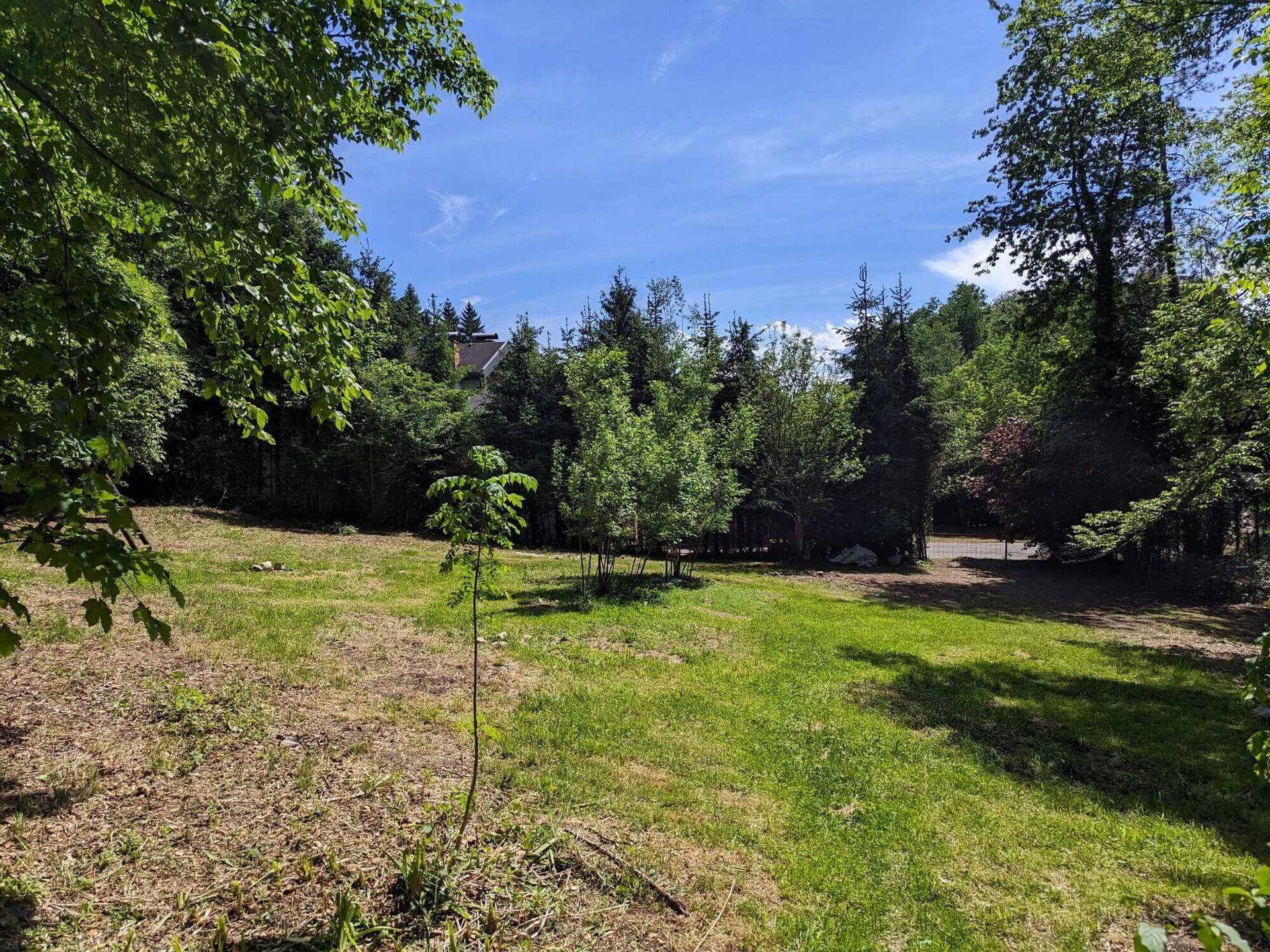 Große Rasenfläche im Garten, umgeben von verschiedenen Baumarten und Sträuchern.