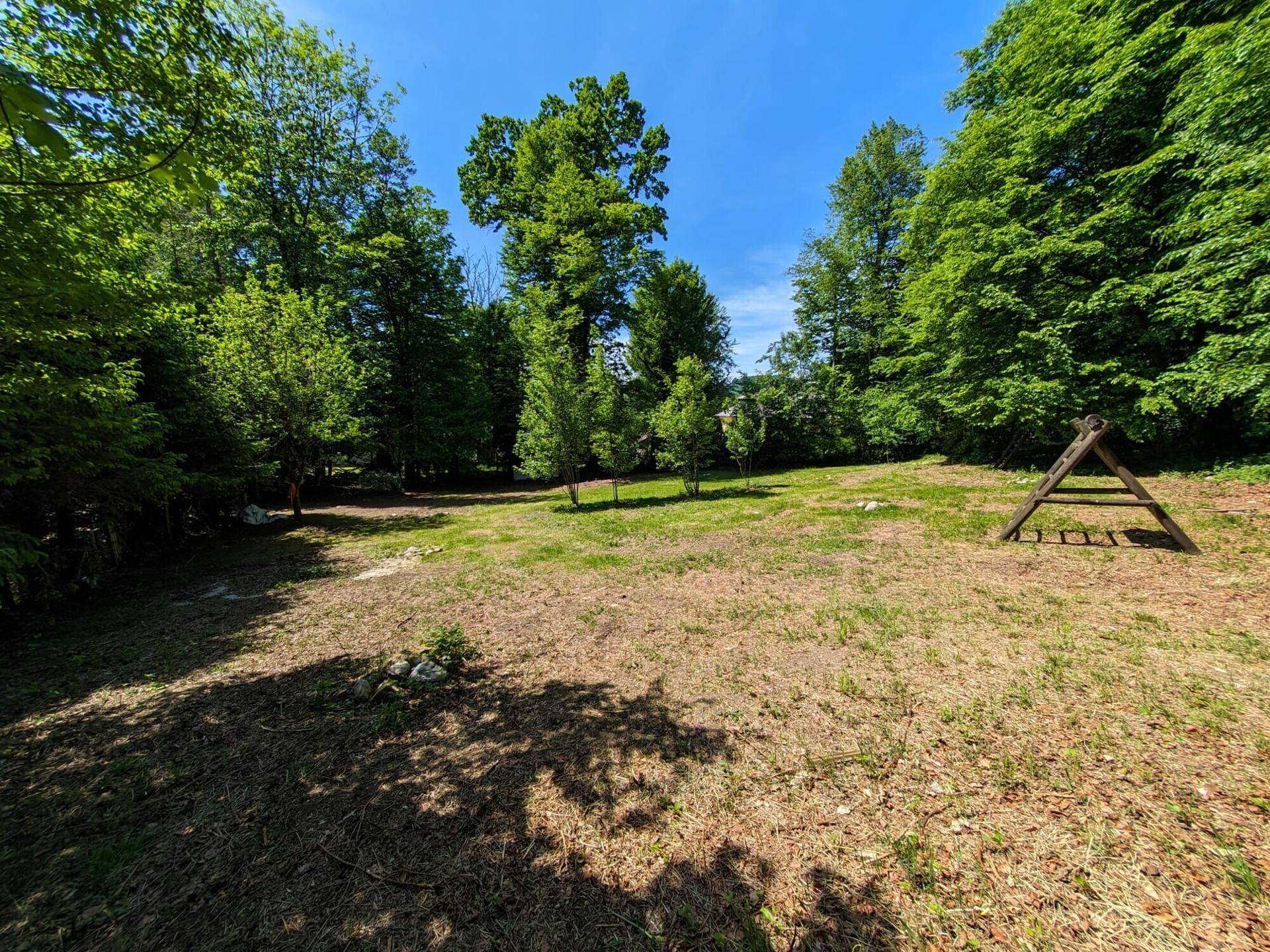 Weitläufige Gartenfläche mit Rasen und umgeben von hohen Bäumen unter blauem Himmel.