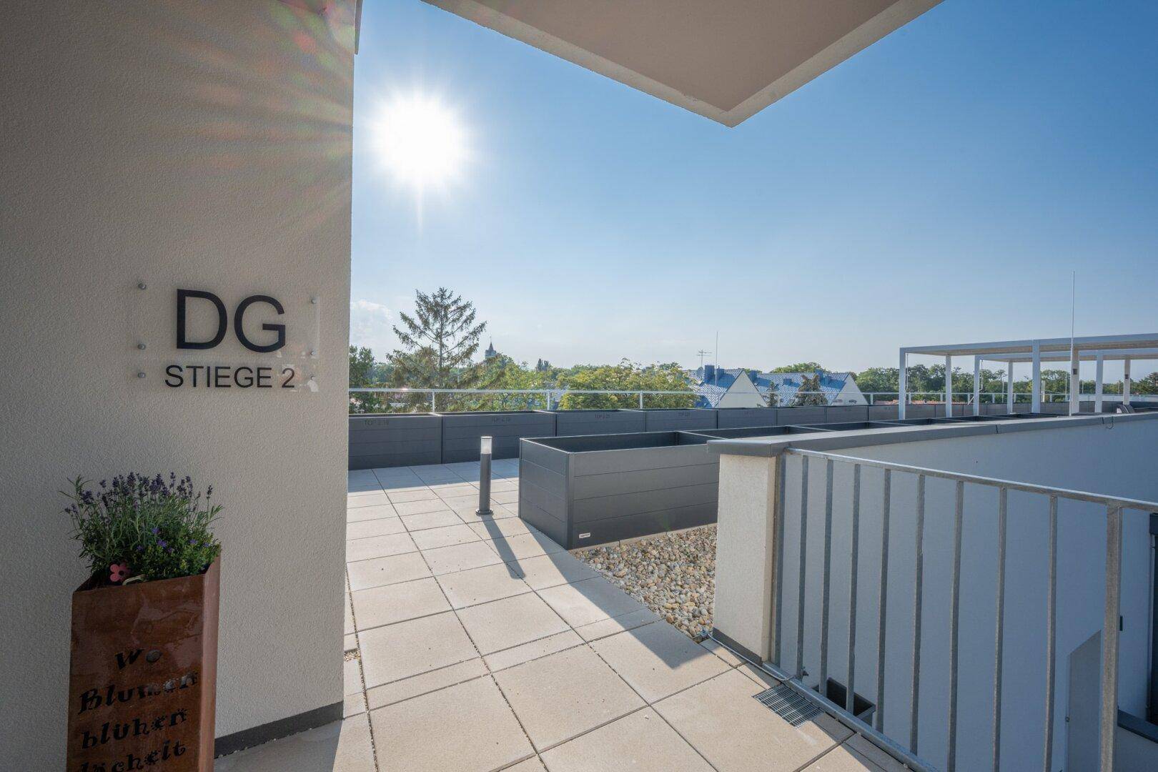 Sonnige Dachterrasse mit Fliesenboden und weitem Blick über die Umgebung.