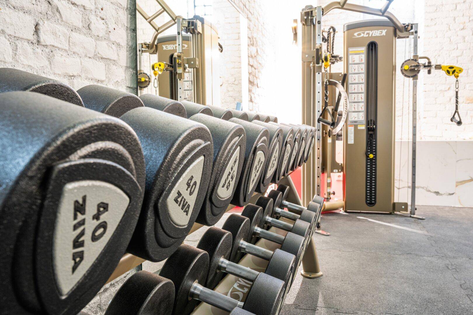 Gut ausgestatteter Fitnessraum mit verschiedenen Hanteln und Trainingsgeräten für Sportbegeisterte.