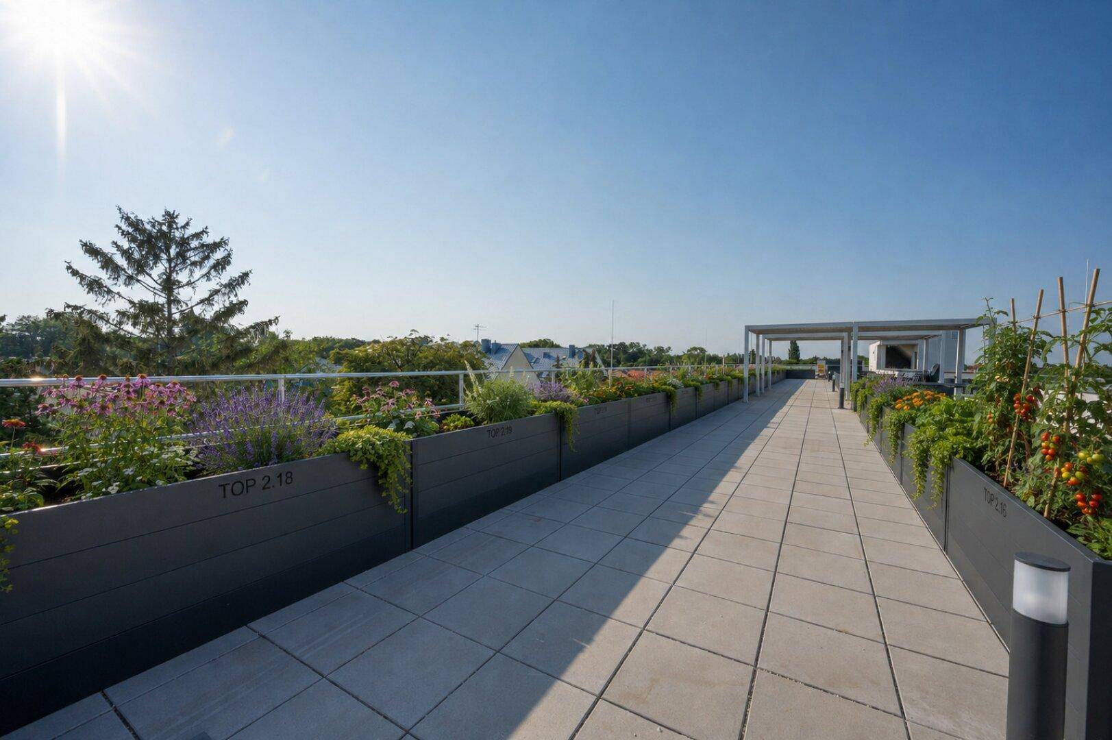 Weitläufige Dachterrasse mit Pflanzenbeeten und Pergola, ideal für Entspannung.