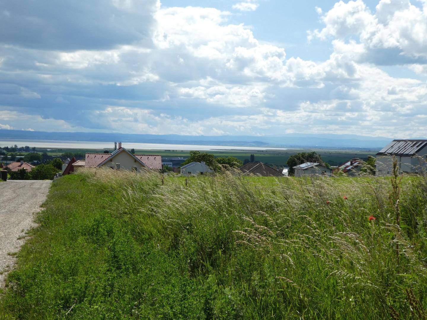 Blick rechts der Straße