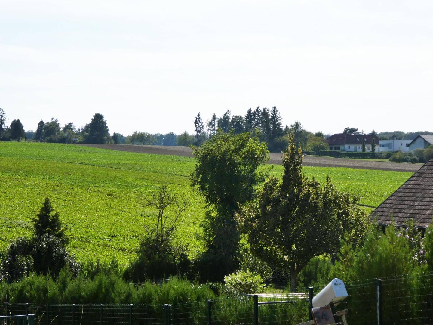 Umfeld und Blick